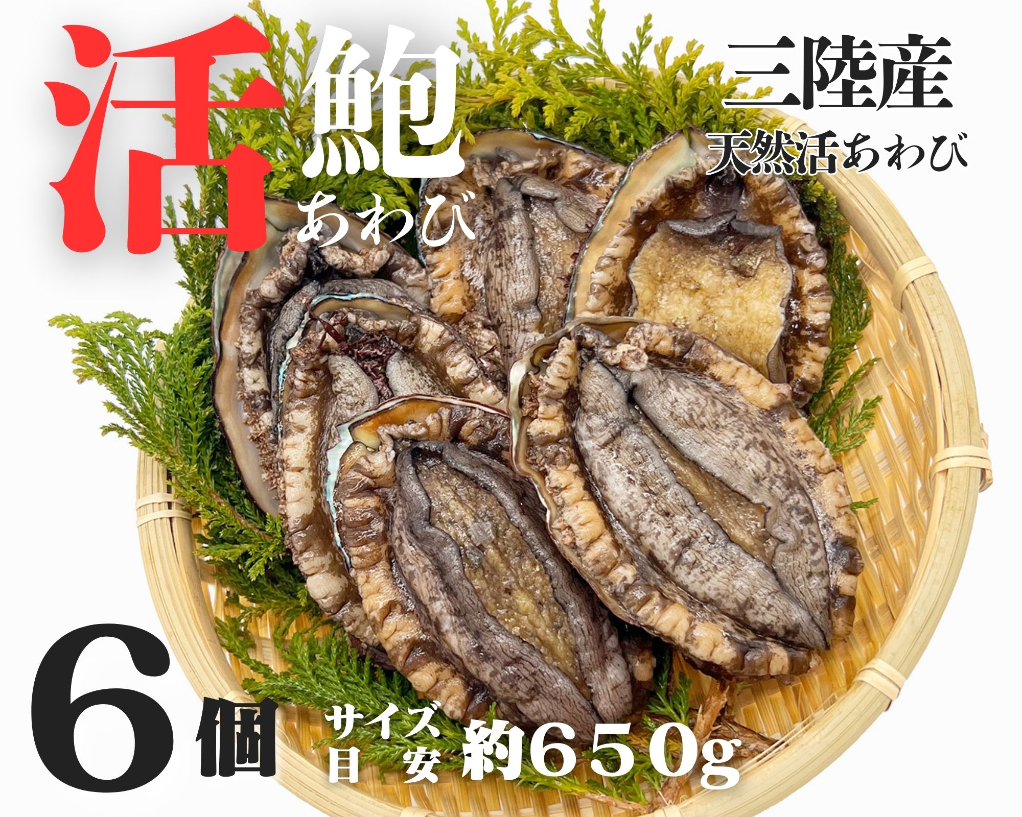 【活鮑】三陸産天然活あわび-6個-