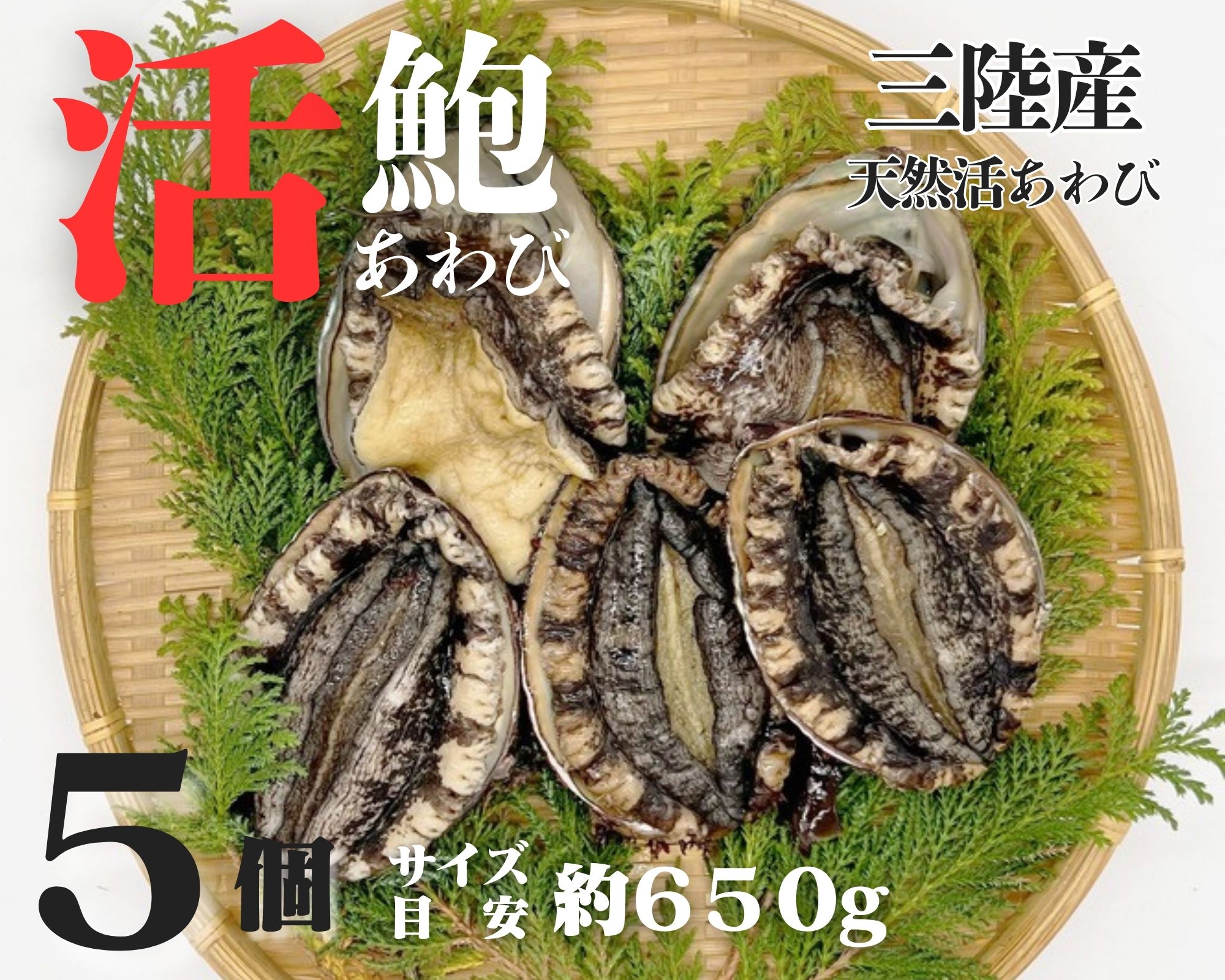 【活鮑】三陸産天然活あわび-5個-