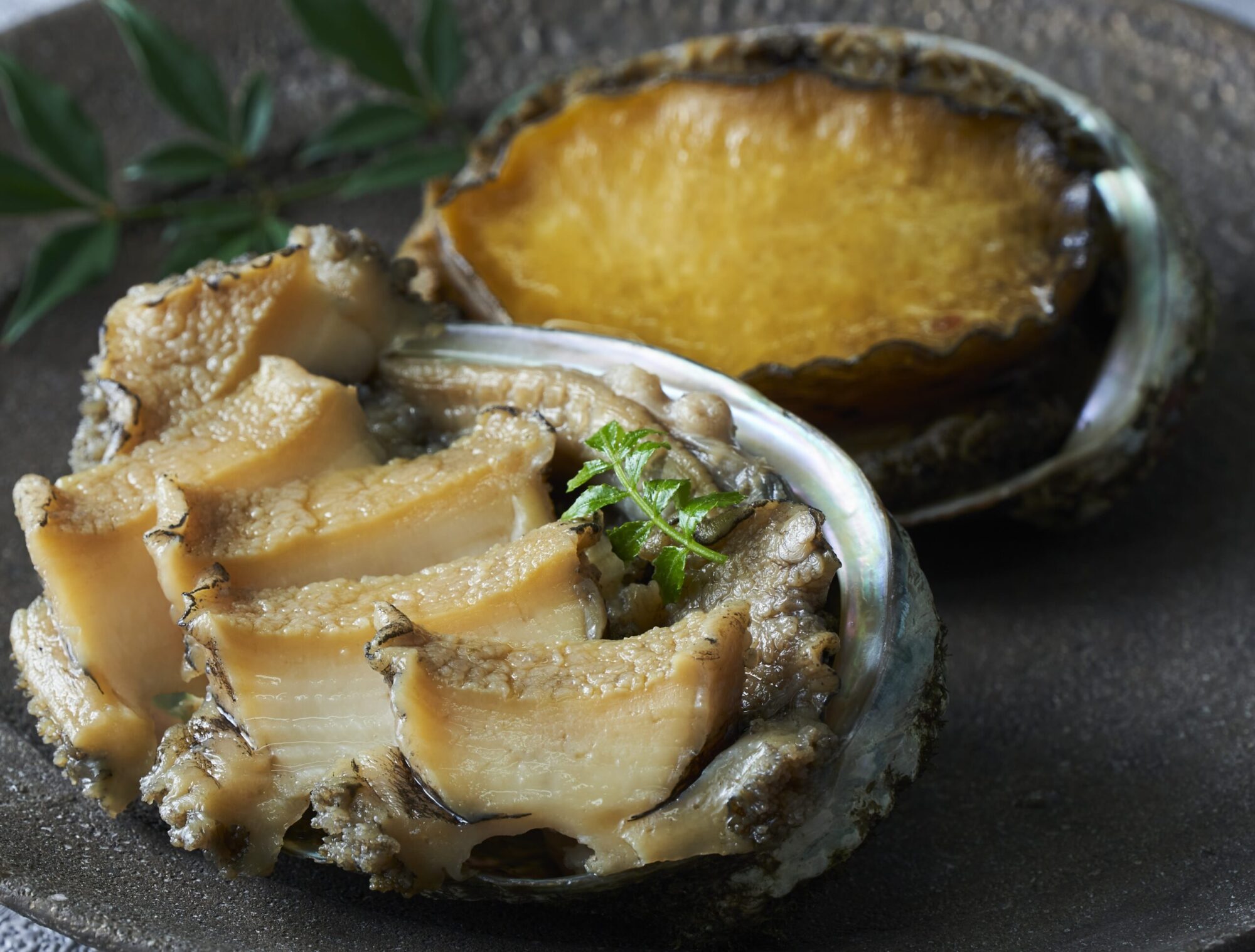 味付煮あわび　１個入　４箱セット　送料無料 - 画像 (2)
