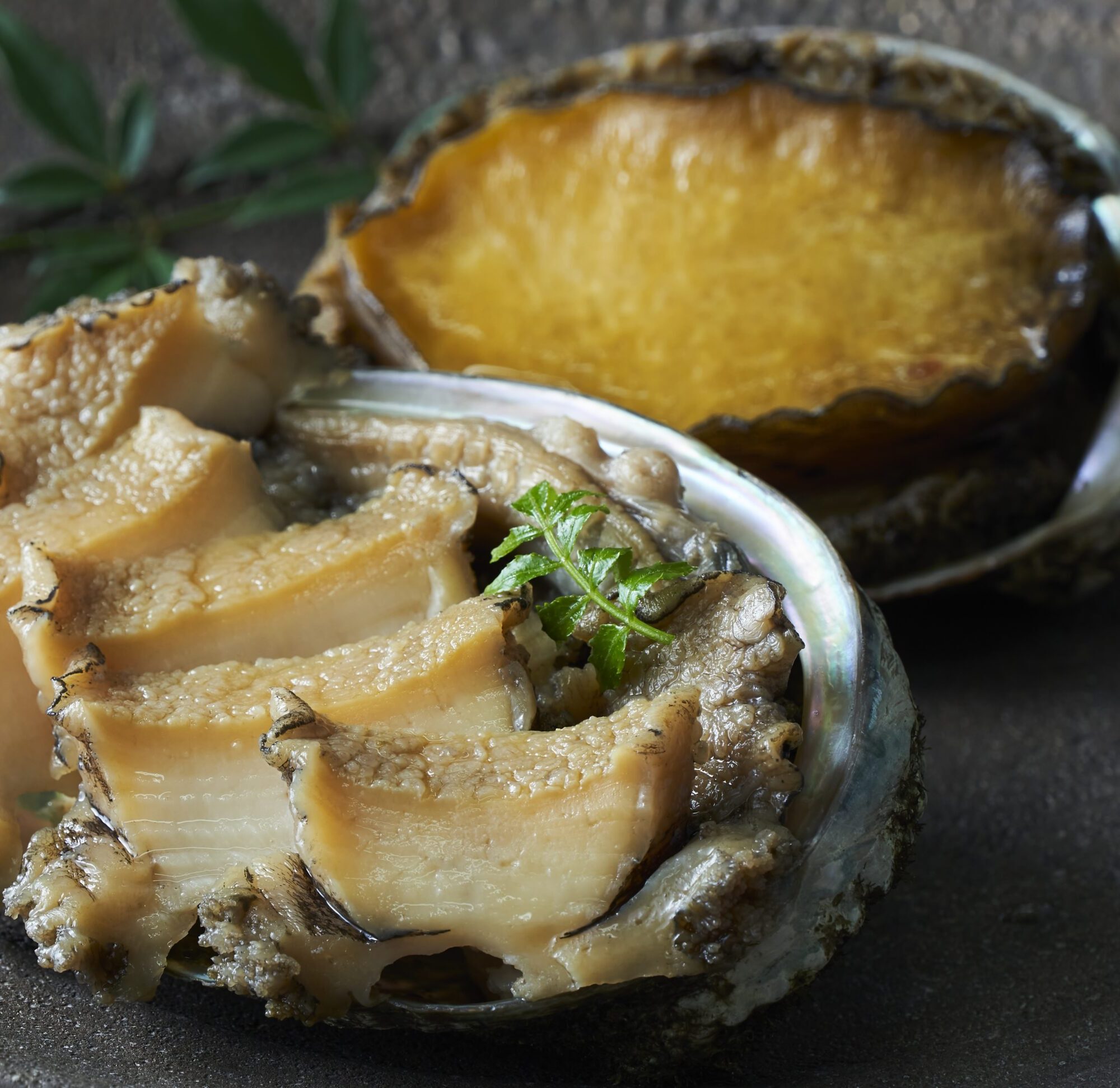 味付煮あわび　１個入　２箱セット　送料無料